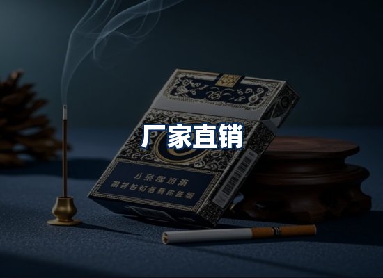 专业团队办公环境
